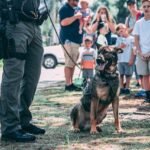Do police dogs get paid? A Police dog with policemen and children in the background.