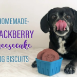 Blackberry Cheese Bites for Your Pup